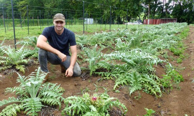 L’Agri Hub de Ferney, le nouveau modèle économique ?