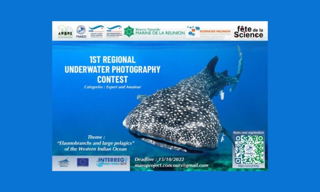 Un concours d’images sous-marines d’envergure internationale à La Réunion