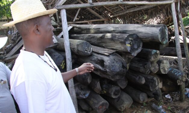 COP 29 : Madagascar allié au lancement du Club G-Zéro