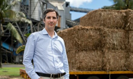 Jean Marc Iweins : sortir du charbon grâce au bois 