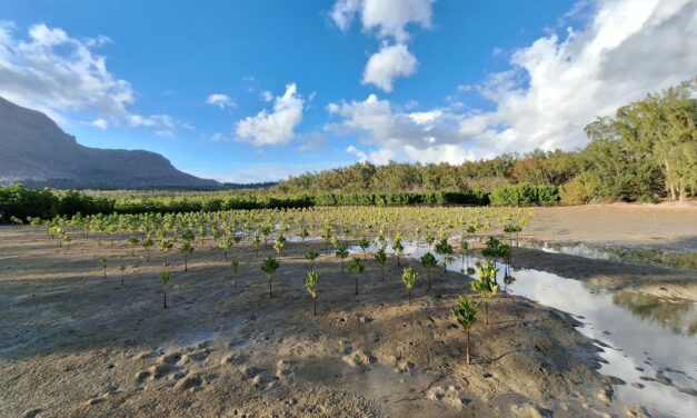 Le programme Varuna : 10 M € de l’AFD pour protéger la biodiversité dans l’OI